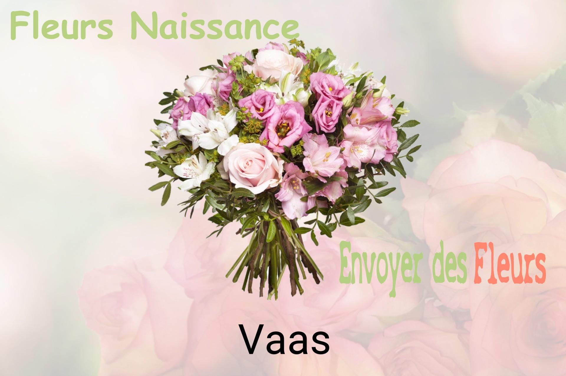Bouquet de fleurs de naissance livré à Vaas